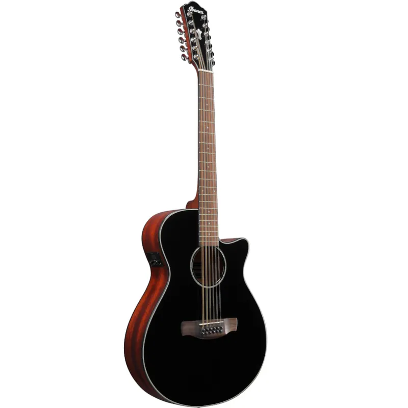 Chitarra acustica elettrificata Ibanez AEG5012BKH 12 corde Professionale