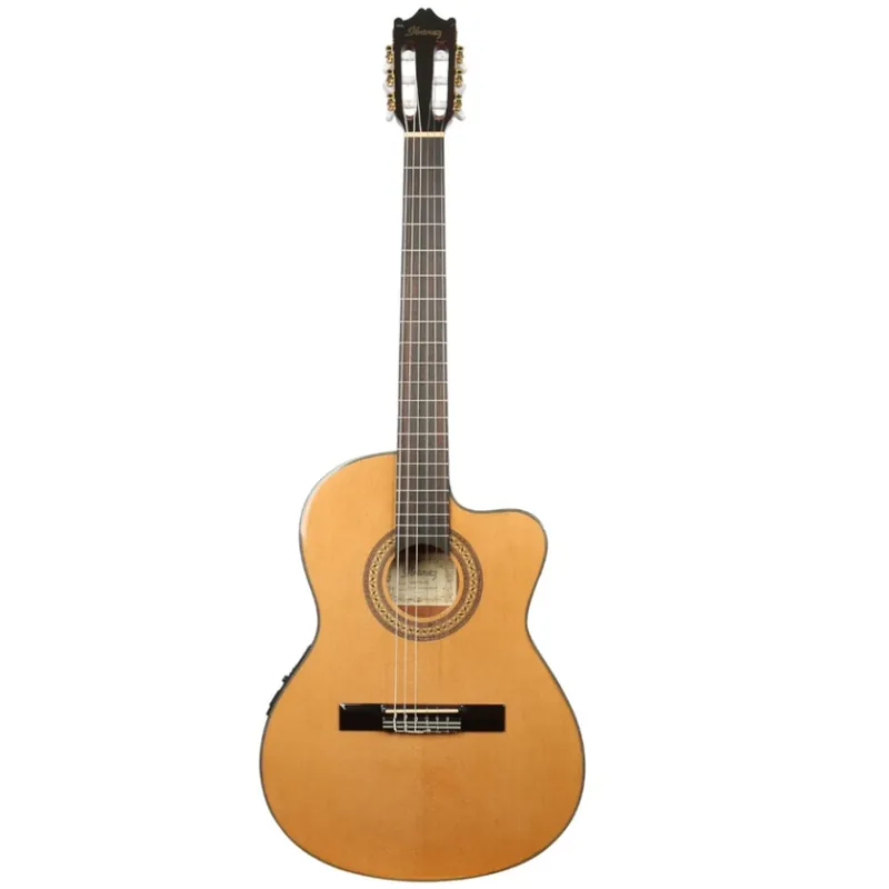 Prezzo Di Fabbrica Chitarra classica elettrificata Ibanez GA5TCEAM