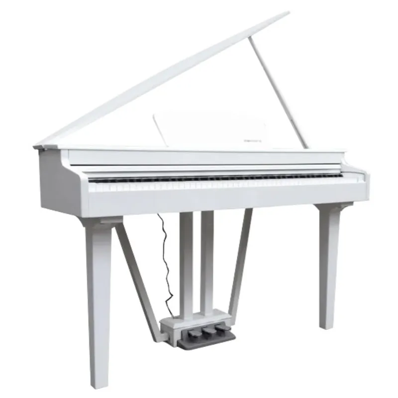 Prezzo Conveniente Gran Piano Echord GP10 White