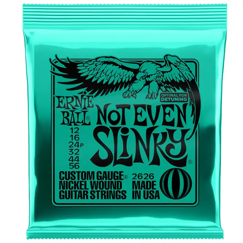 Muta chitarra elettrica Ernie Ball 012/056 Promozione