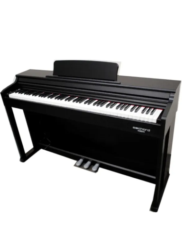 Prezzo Conveniente Pianoforte digitale Echord DPX100